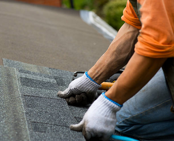 Best Shingle Roofing Installation  in Lock Haven, PA